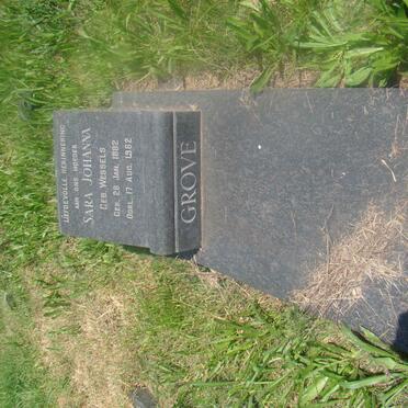 GROVE Sara Johanna nee WESSELS 1882-1962