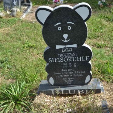 HLUBI Thokozani Sifisokuhle 2012-2013