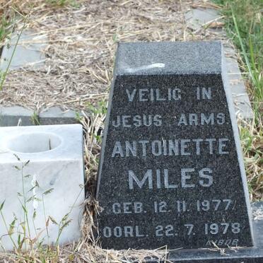 MILES Antoinette 1977-1978