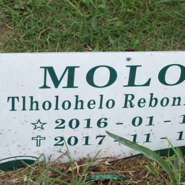 MOLOI Tlholohelo Rebonisiwe 2016-2017