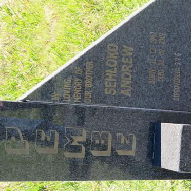 Mp - Surnames starting with the letters Mp