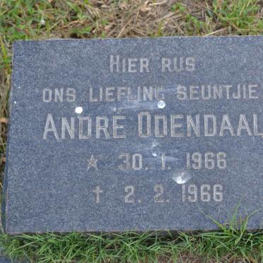 ODENDAAL André 1966-1966