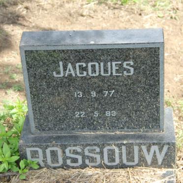 ROSSOUW Jacques 1977-1983