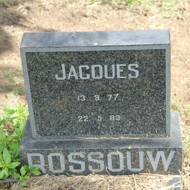 ROSSOUW Jacques 1977-1983