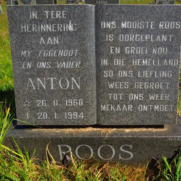 ROOS Anton 1960-1994