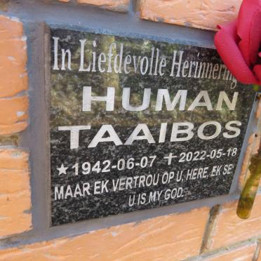 HUMAN Taaibos 1942-2022