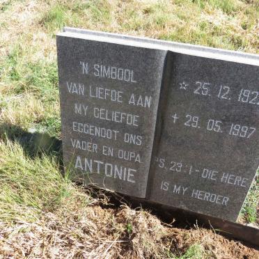 FERREIRA  Antonie 1922-1997 & Dina DREYER 1926-_1