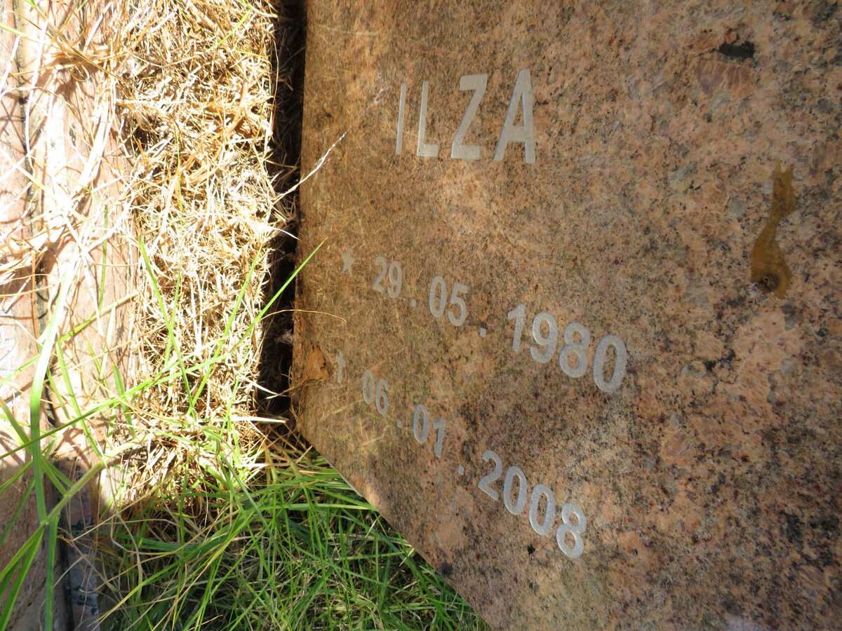 SAAYMAN Corniel 1983-2001 :: SAAYMAN Ilza 1980-2008 :: SAAYMAN C.T. 1952- _3