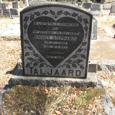 T - Vanne :: Surnames - T