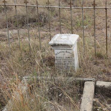 MILLER Albert James -1903