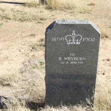 WHYBURN H.