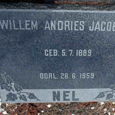 NEL Willem Andries Jacobus 1889-1959
