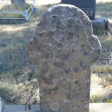 T - Vanne :: Surnames - T