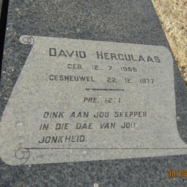 WILTERS David Herculaas 1959-1977