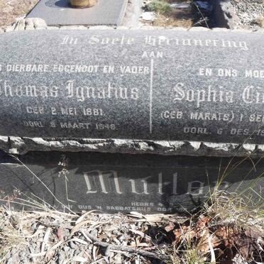 M - Surnames :: Vanne - M