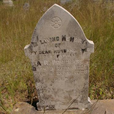 PURCHASE A.R. 1887-1925