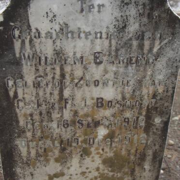 BOSHOFF Willem Barend 1912-1912