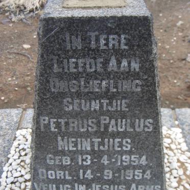 MEINTJIES Petrus Paulus 1954-1954