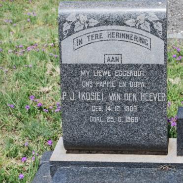 HEEVER P.J., van den 1909-1966