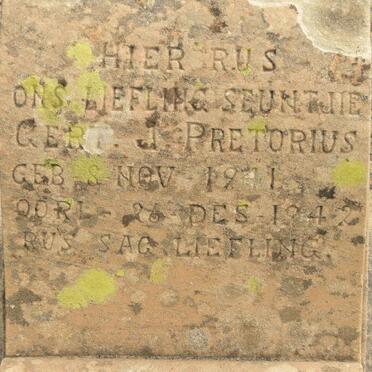 PRETORIUS Gert J. 1941-1942