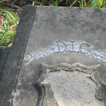 COETZEE Petrus D.J. -1927