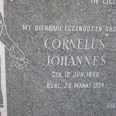 GERICKE Cornelus Johannes 1866-1954 