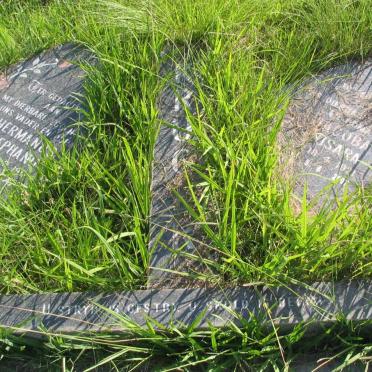 KRUGER Hermanus Stephanus 19??- &amp; Jacoba Susara 1921-2007