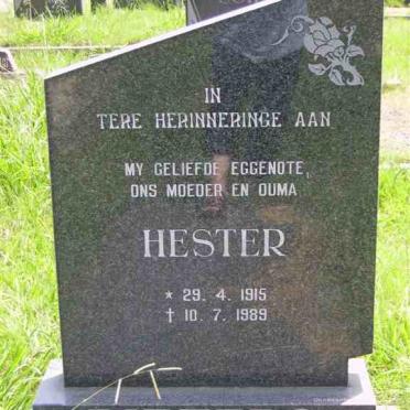 PIETERS Hester 1915-1989