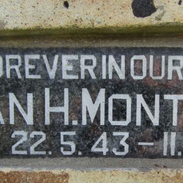 MONTAGUE Ian H. 1943-1996