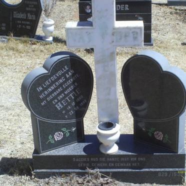 ? Hettie, van der 1960-1999