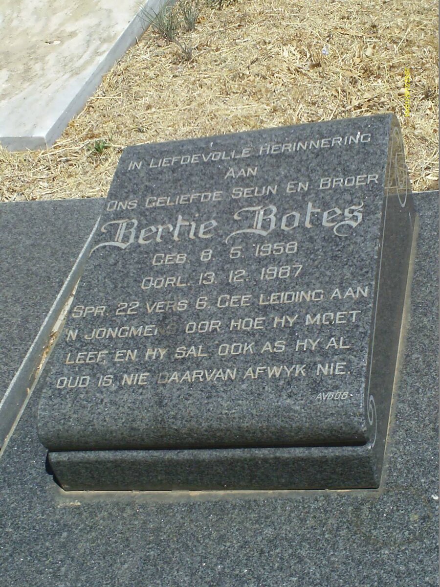 BOTES Bertie 1958-1987 :: BOTES Hannes 1931-1990