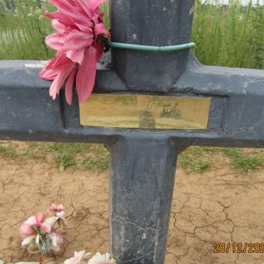 DAVEL Jenavive  -2021