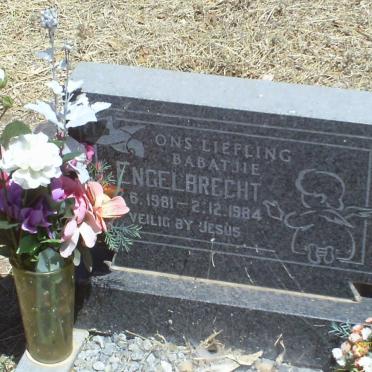 ENGELBRECHT 1981-1984