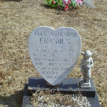 ERASMUS Martiens Hendrik 1993-1995