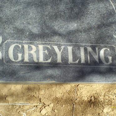 GREYLING
