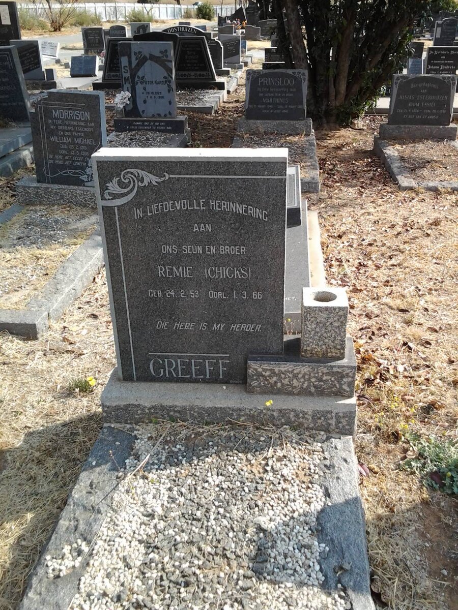 GREEFF Remie 1953-1966