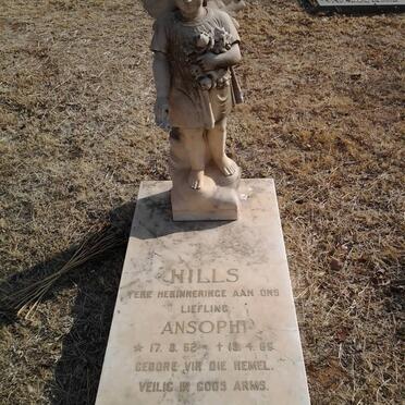 HILLS Ansophi 1962-1966