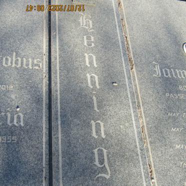 HENNING Johannes Jacobus 1949-2012 & Aletta Maria VAN DER ZANDT 1955- _2