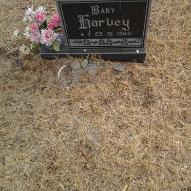 HARVEY Baby 1960-1960