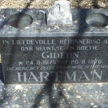 1HARTMAN Gideon 1975-1976