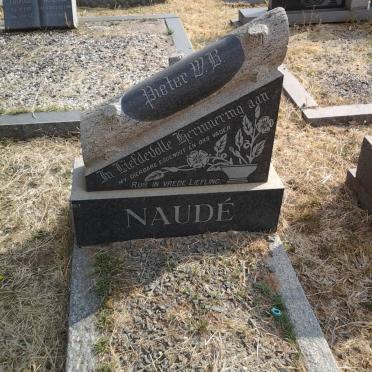 NAUDE Pieter W.B. 