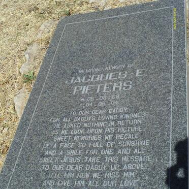 PIETERS Jacques E. 1969-2004