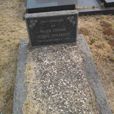 SCHLEBUSCH Willem Adriaan Jacobus 1907-1961