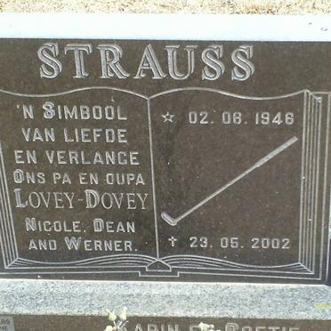 STRAUSS Lovey-Dovey 1946-2002