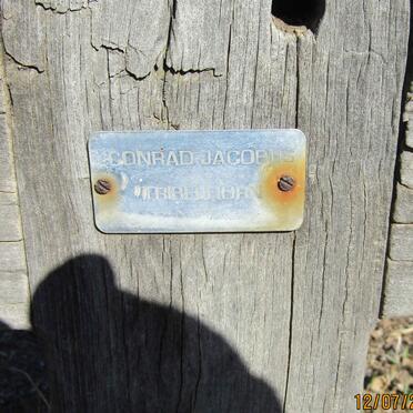 TRIBELHORN Conrad Jacobus