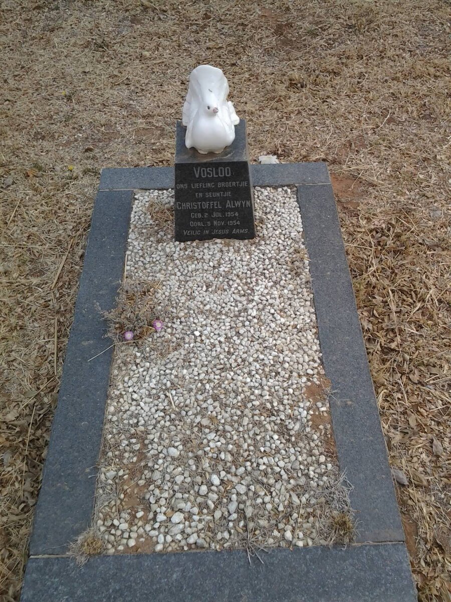 VOSLOO Christoffel Alwyn 1954-1954