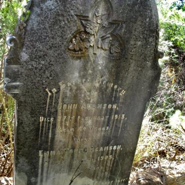 Free State, VIRGINIA district, Adamsons Vley 655, Adamsonsvlei, farm cemetery