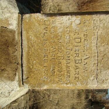 BASSON Johannes Martinus 1859-1937