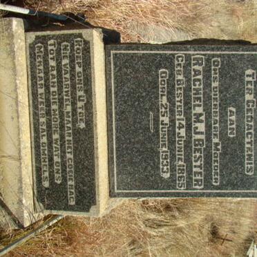 BESTER Rachel M.J. 1865-1933