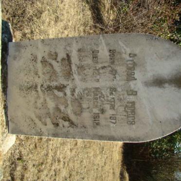 BURGERS Alfred 1871-1913